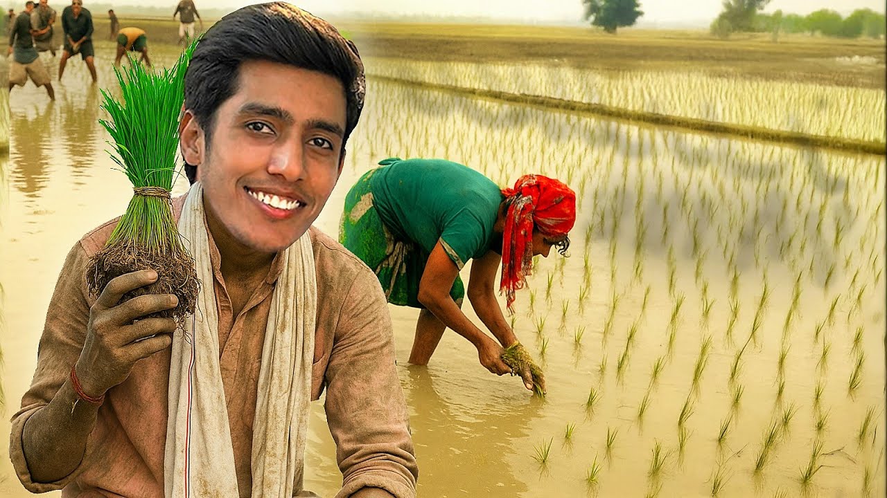 I Became a Farmer for a day!