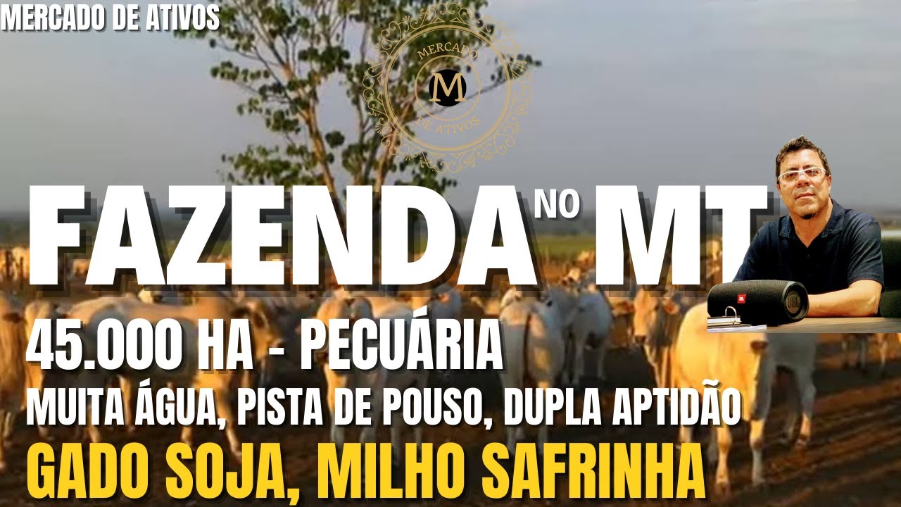 MEGA FAZENDA PECUÁRIA NO MATO GROSSO 45.000 HA DUPLA APTIDÃO ESTRUTURA MUITA ÁGUA - MercadodeAtivos