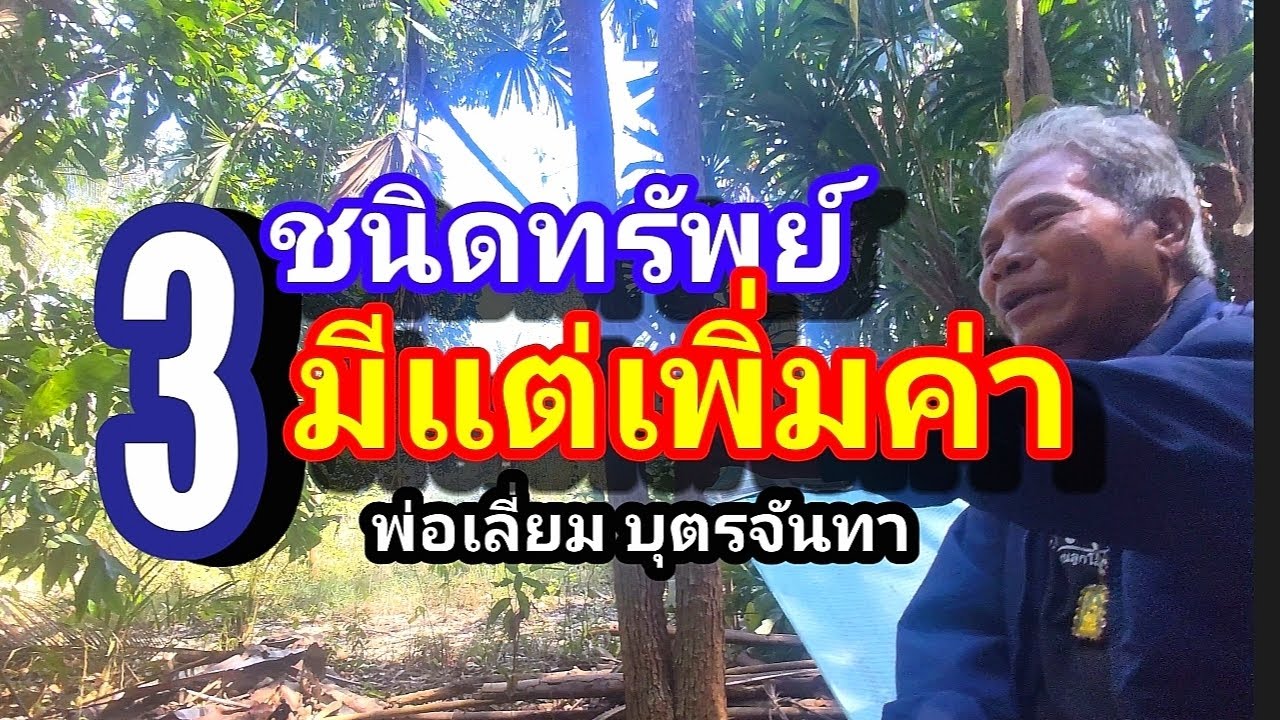 ทรัพย์3อย่างที่แพงขึ้นทุกวันจากพ่อเลี่ยม​บุตรจันทา