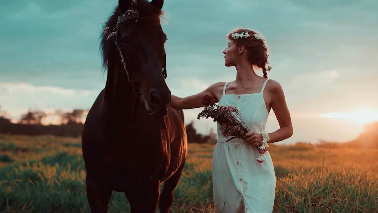 Arcade || Equestrian Music Video