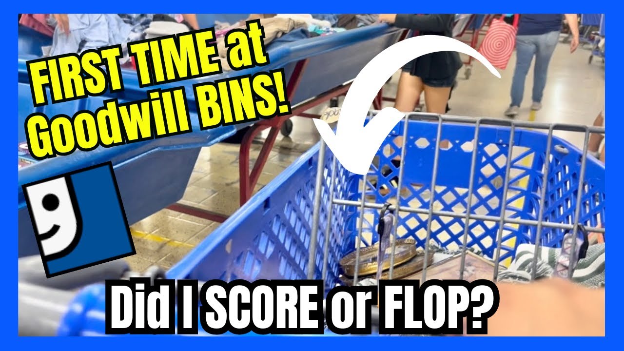 First Time at Goodwill BINS | Thrift Haul + Flipping for Profit|Reselling on NIKNAX and ETSY