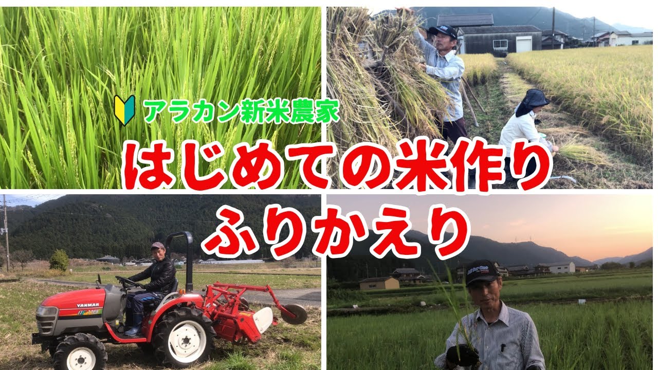 【米作り】アラカン新米農家のはじめての米作りのふりかえり