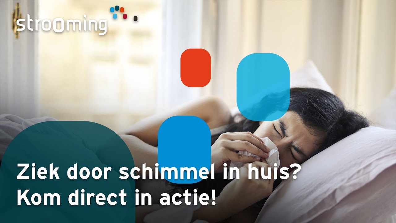 Ziek Door Schimmel In Huis? Kom Direct In Actie!