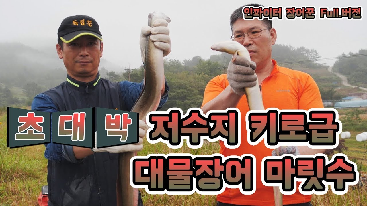 [FTV한국낚시채널] 인파이터 장어꾼 시즌2 2회, 저수지 키로급 대물장어, 마릿수, 초대박 조황,  장어낚시, eel, eel fishing