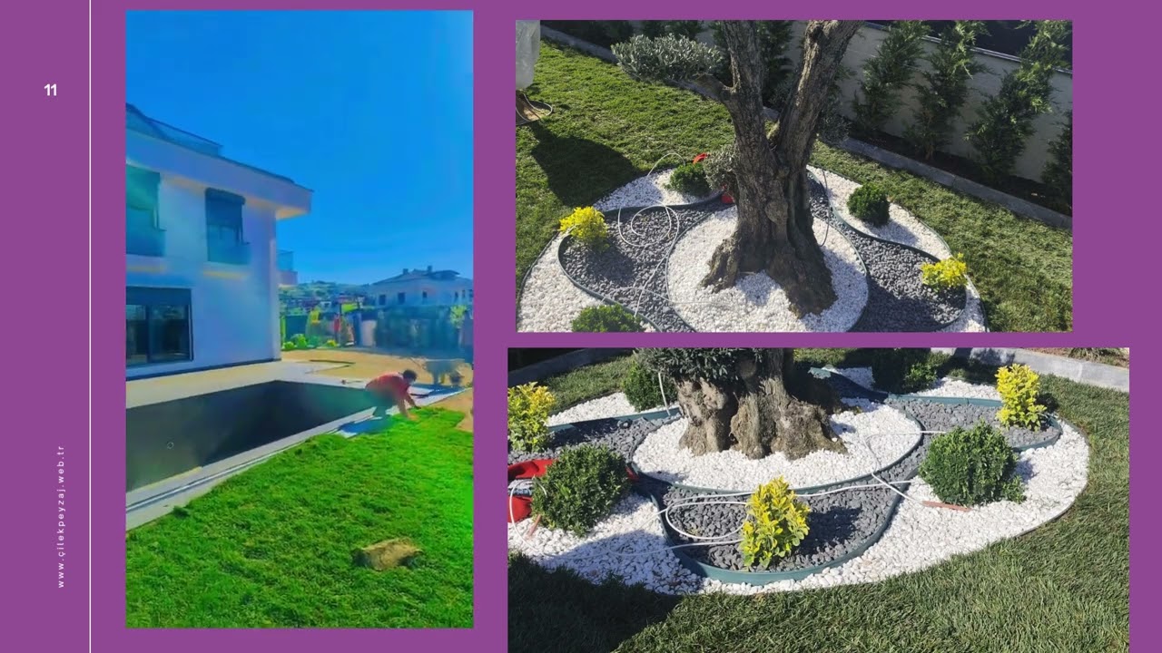 ÇİLEK BOTANİK YAPTIĞIMIZ İŞLER - 2025