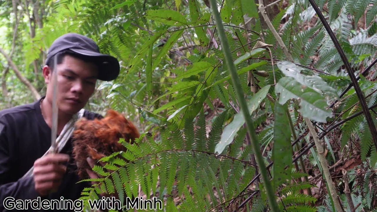 Digging for a Secret Wild Root Worth Selling