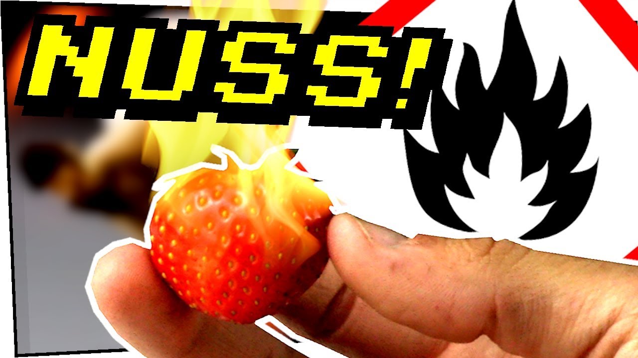 Wie gut brennt eine Nuss? Erdbeeren sind Nüsse! - Gefährliche Experimente 