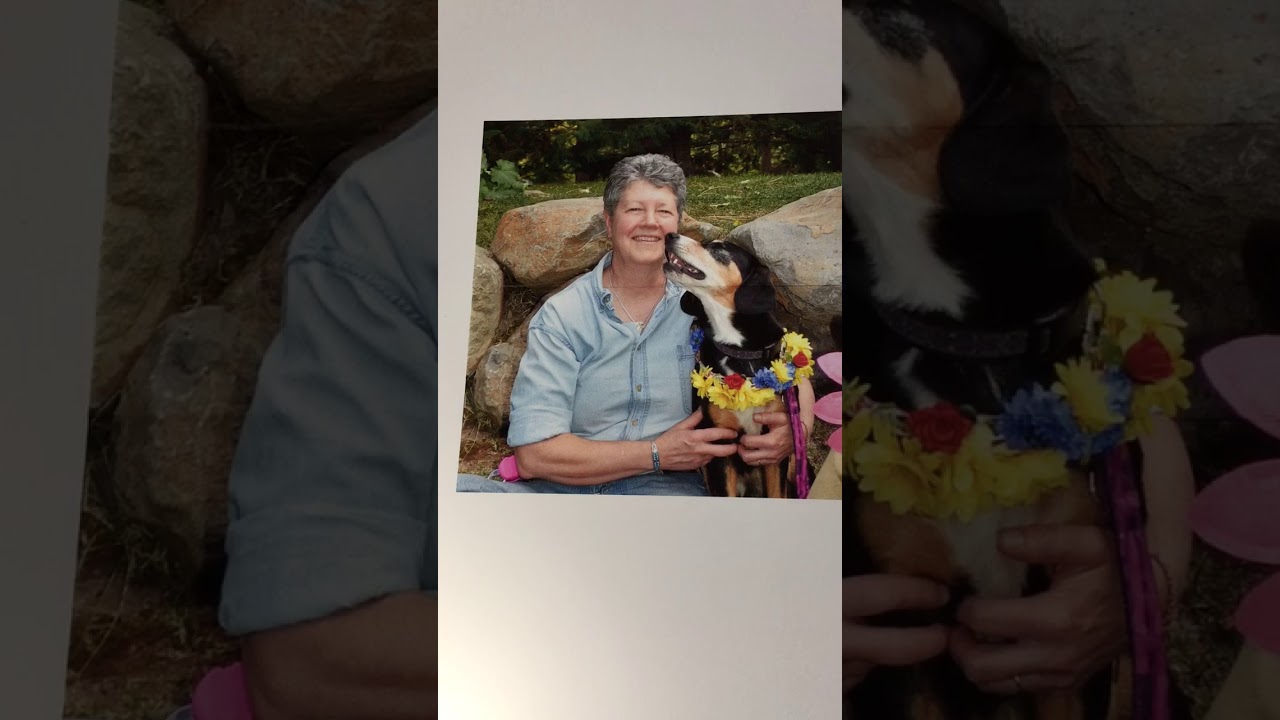 Zendo, my spirit dog Forever, written by Kathy Marshall Nov 2017