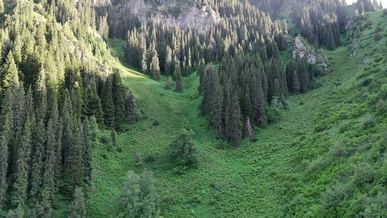DJI 20250524185434 0026 D