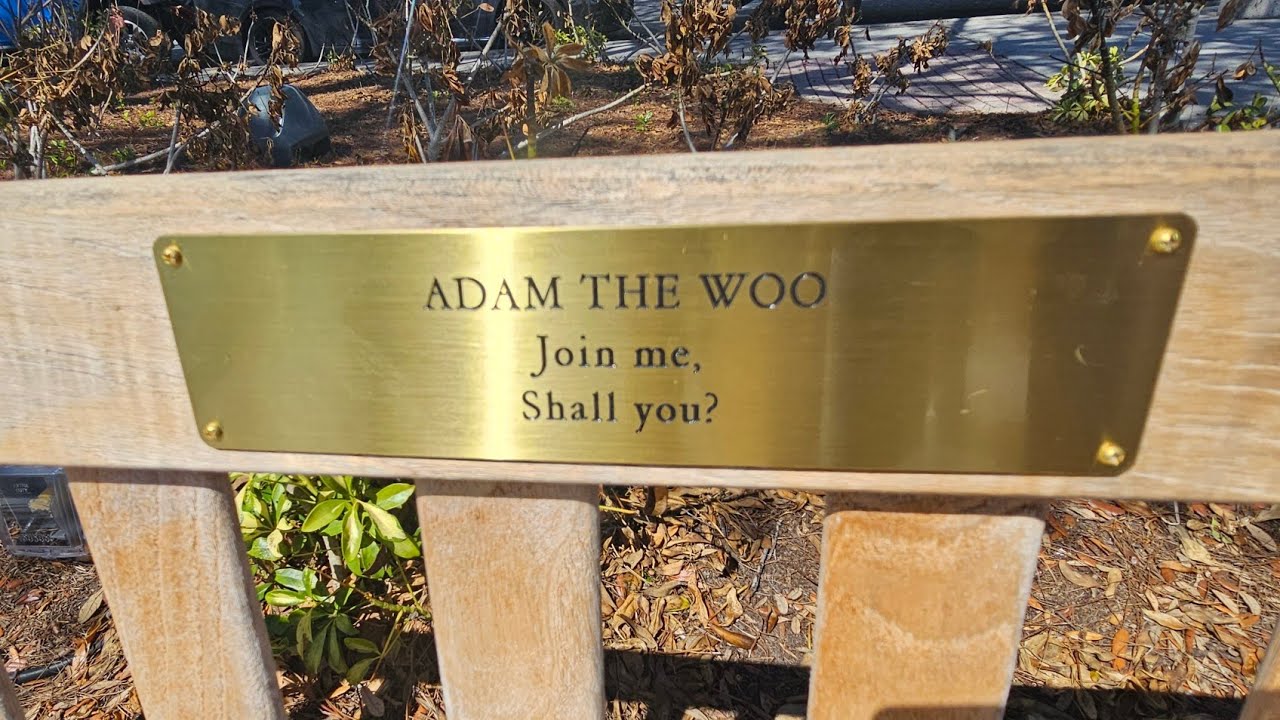 Adam The Woo's Bench In Celebration, FL