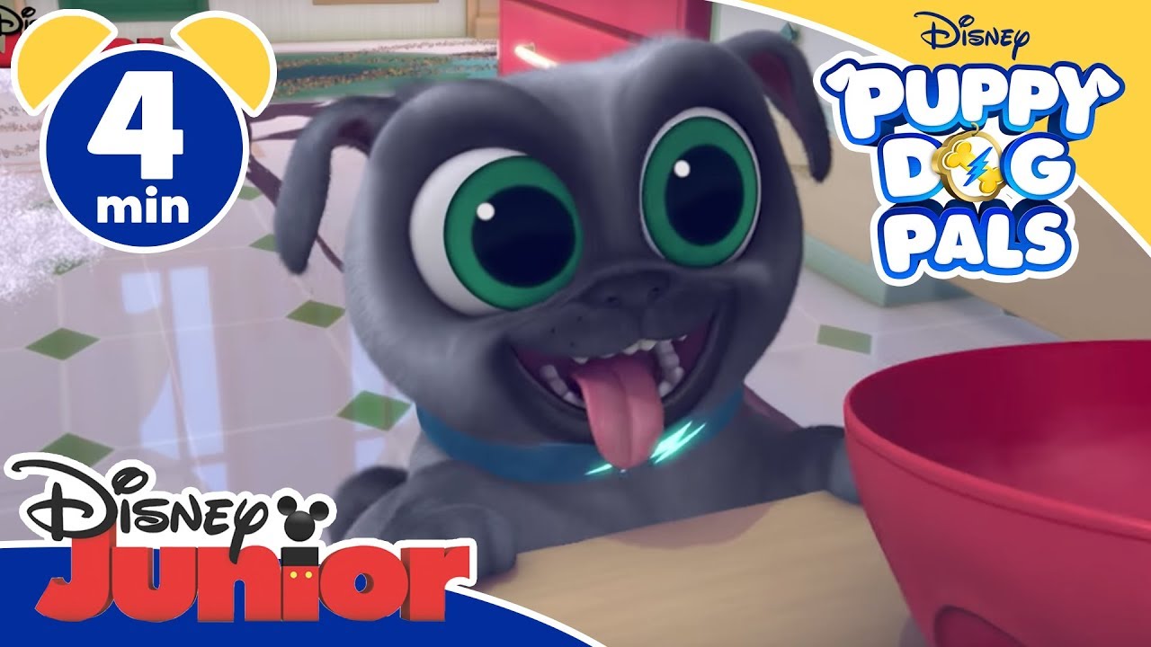 Puppy Dog Pals | Sistemare casa - Disney Junior Italia
