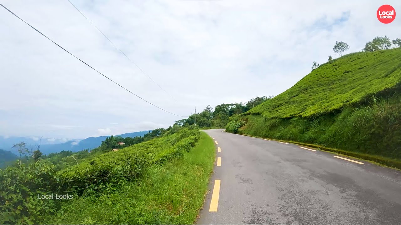 Cloudy Day | Riding through the Mountain Villages and Tea Estate Nepal
