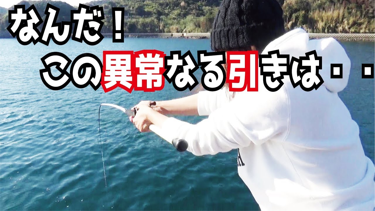 堤防の真下に餌玉を落としたらバケモノ魚が(436話目)