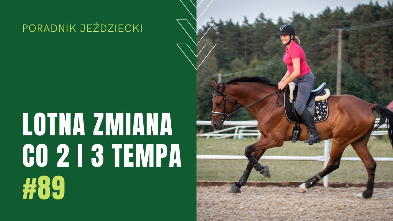 LOTNE ZMIANY CO 2 i 3 TEMPA | Poradnik jeździecki #89