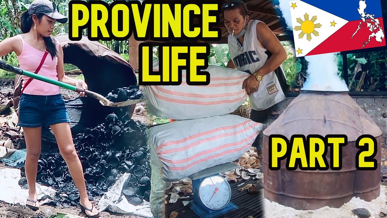 Countryside: Life in the Province of Philippines | Coconut Harvesting step by step Process