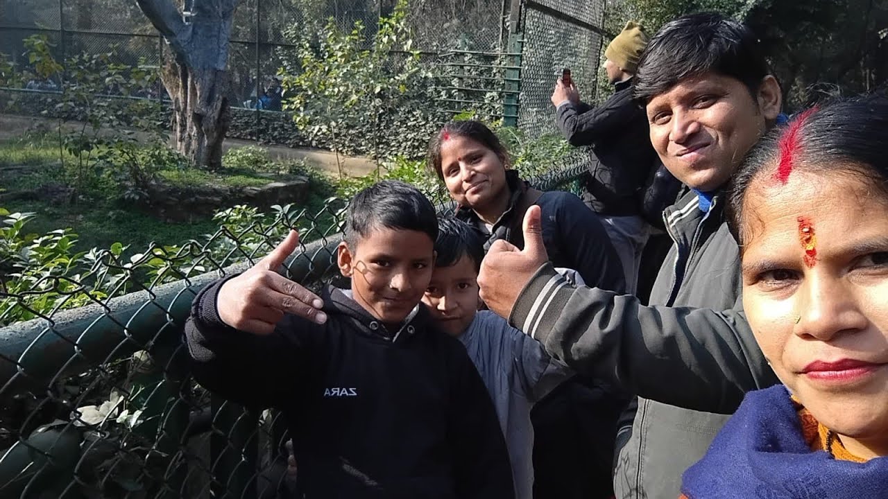 Wild vibes at lucknow zoo 
