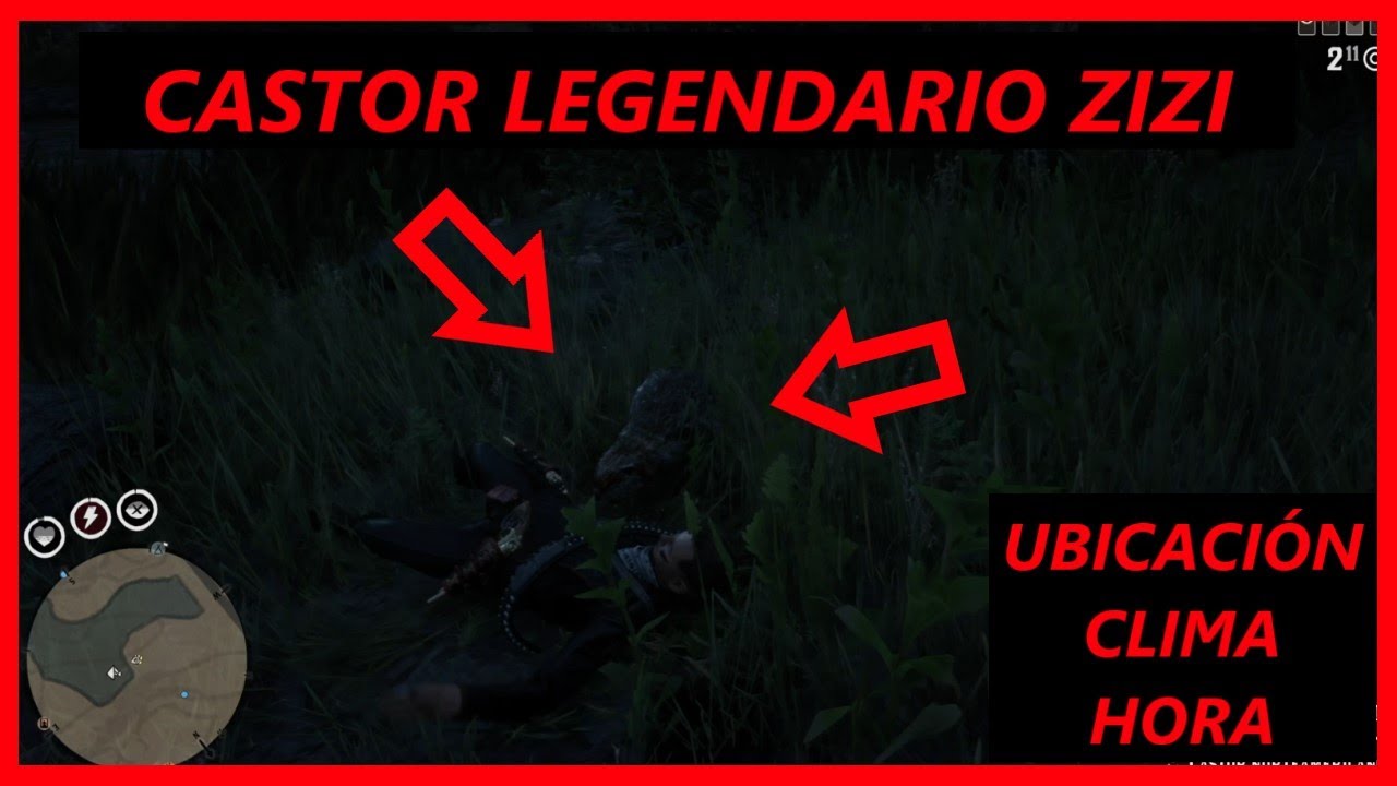 Castor Legendario Zizi 🐹 Ubicaci&oacute;n + Hora + Clima + MORDISCO