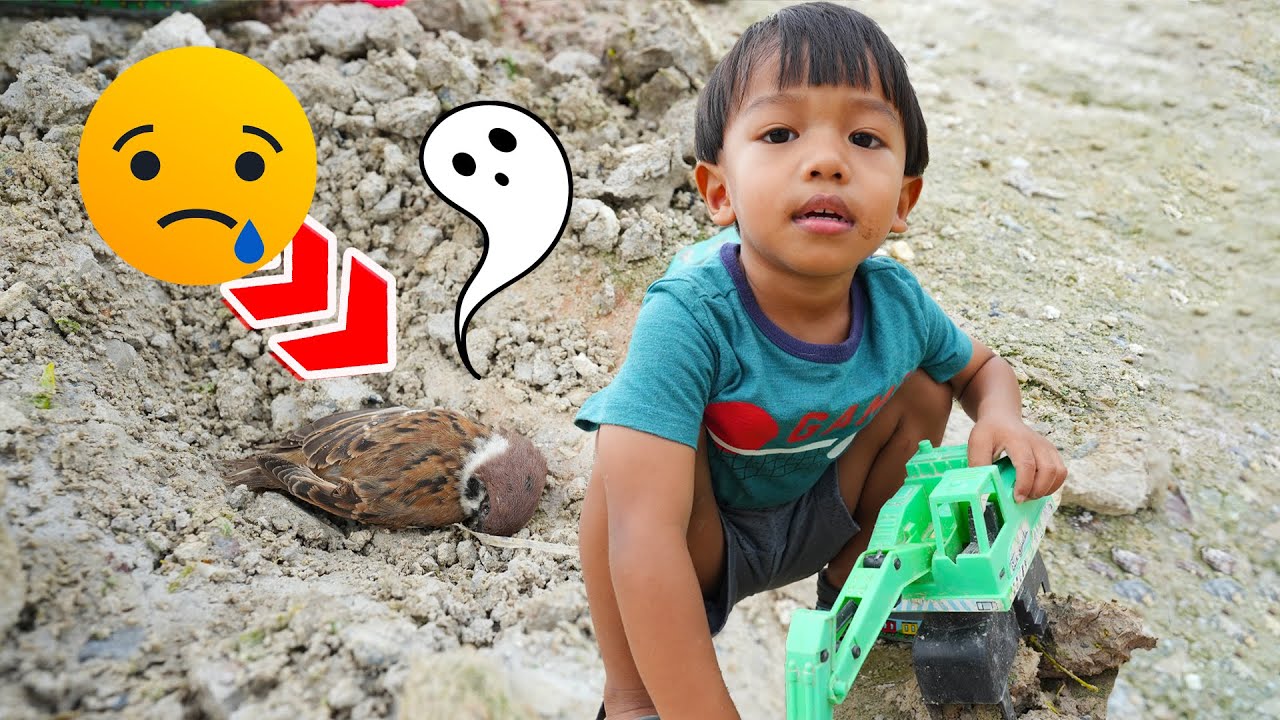 ช่วยเหลือซากนก หน่วยกู้ภัยสัตว์ | พี่ปลื้ม
