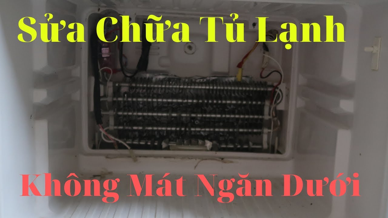 Cách sửa Tủ Lạnh kém Lạnh,Ngăn dưới không lạnh,hướng dẫn chi tiết từ A-Z