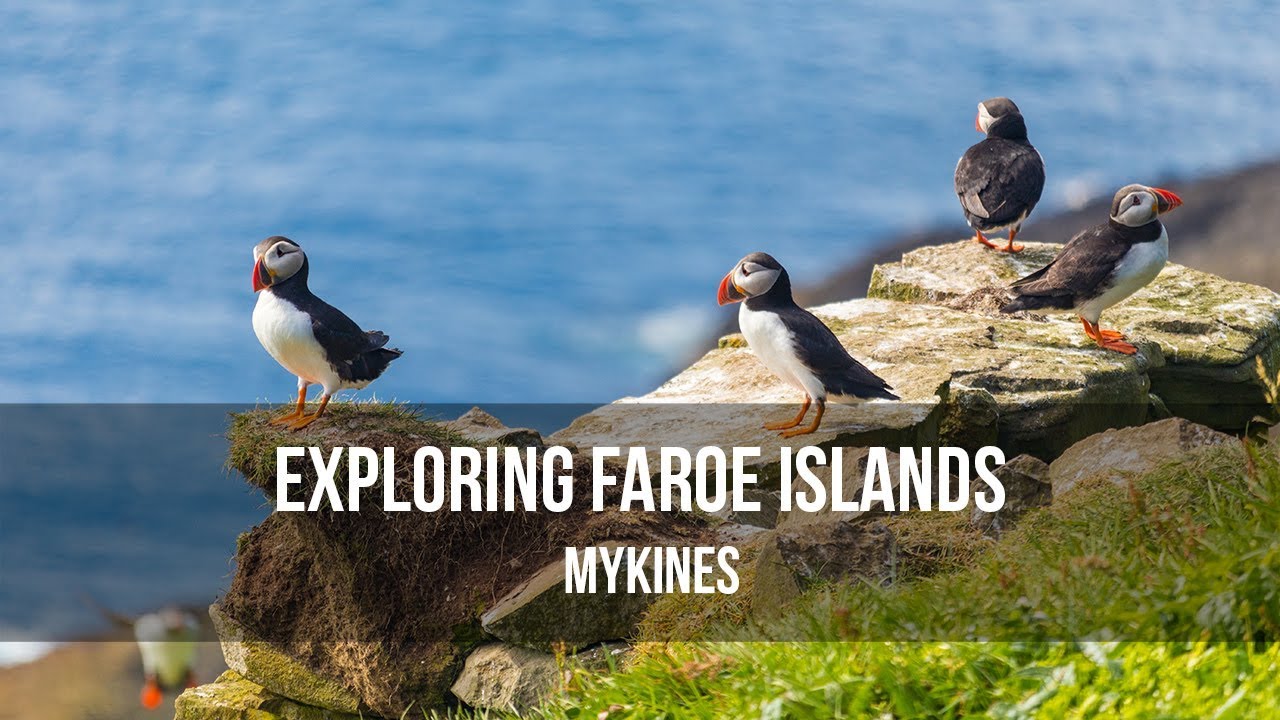 Exploring Faroe Islands - Mykines