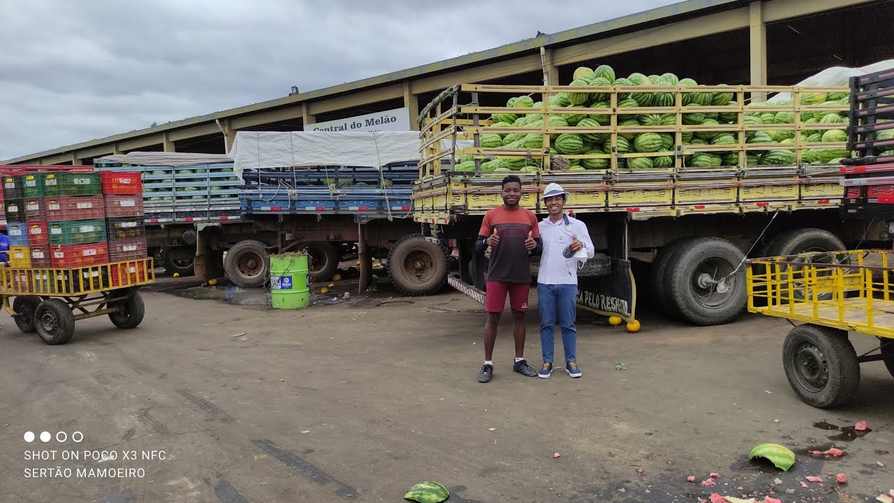 CONHECENDO O MERCADO DO PRODUTOR EM JUAZEIRO DA BAHIA NO SERTÃO DO SÃO FRANCISCO.