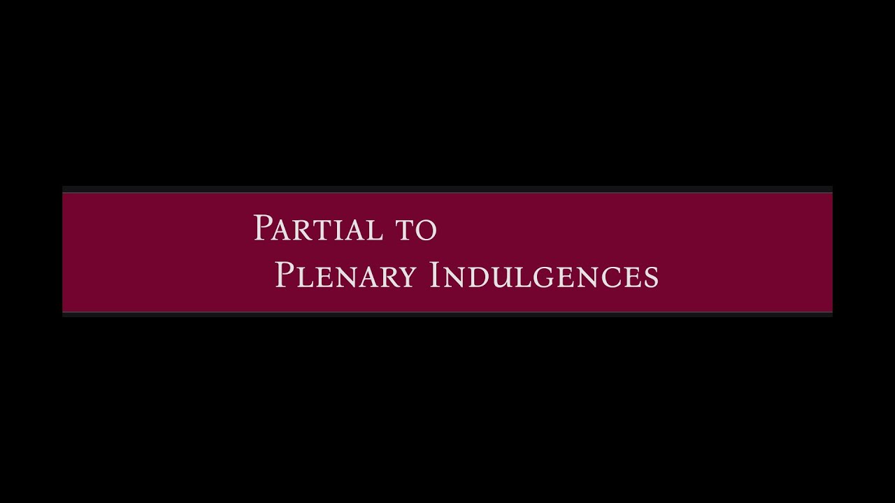 Visit disabled people. Plenary indulgence. Ends Jan 6 2026.