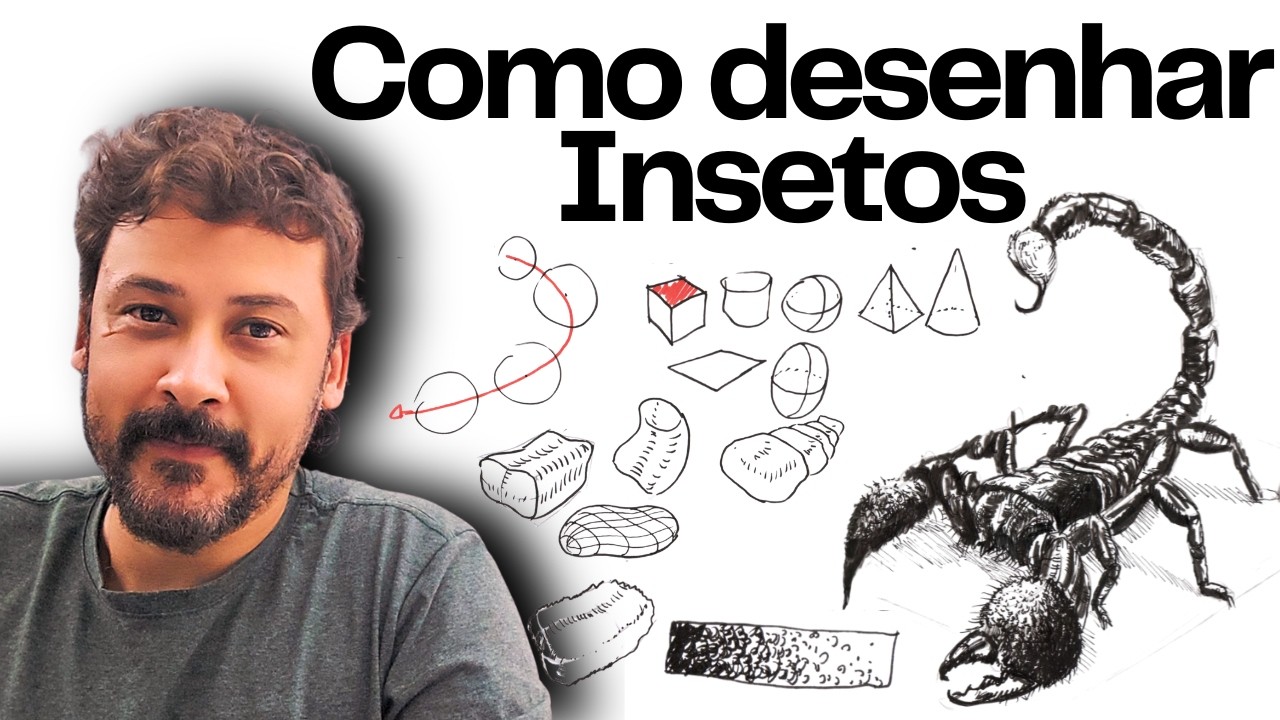 5 Passos para desenhar qualquer INSETO