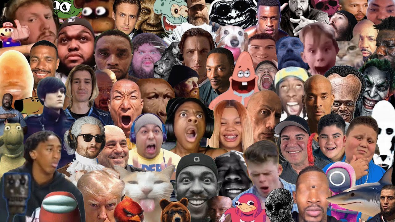 Peak Instagram Reels Brainrot