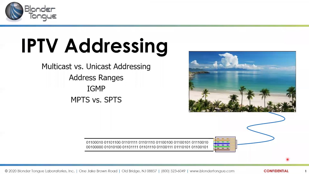 Blonder Tongue Tech Training Webinar on IPTV Addressing