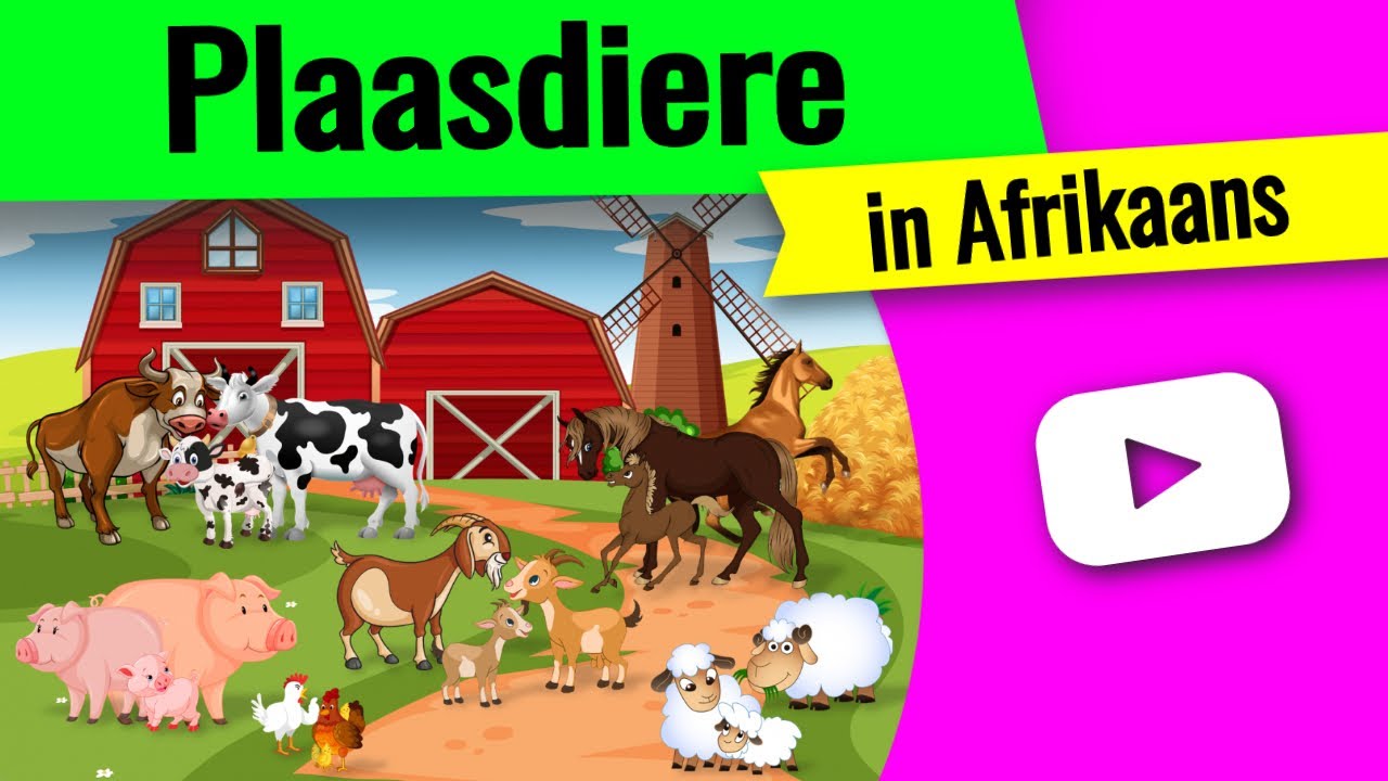 Plaasdiere ▶ Leer Plaasdiere name en geluide in Afrikaans!
