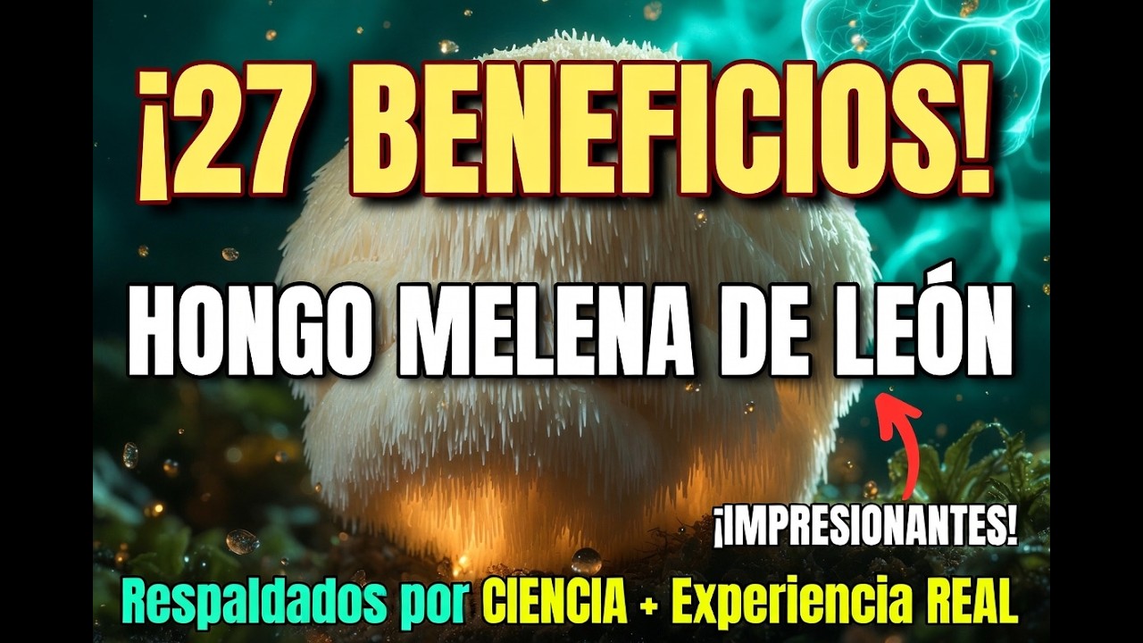 27 Beneficios del Hongo Melena de León, respaldados por ciencia y experiencia real #airmededu