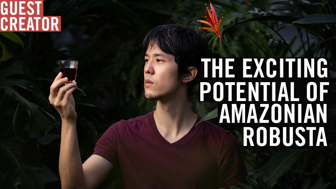 The Exciting Potential Of Amazonian Robusta?