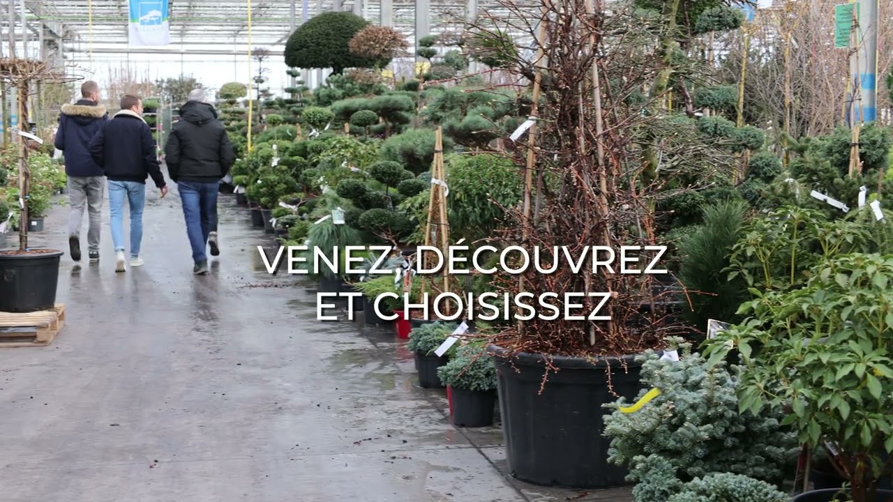 'Printemps chez Willaert'