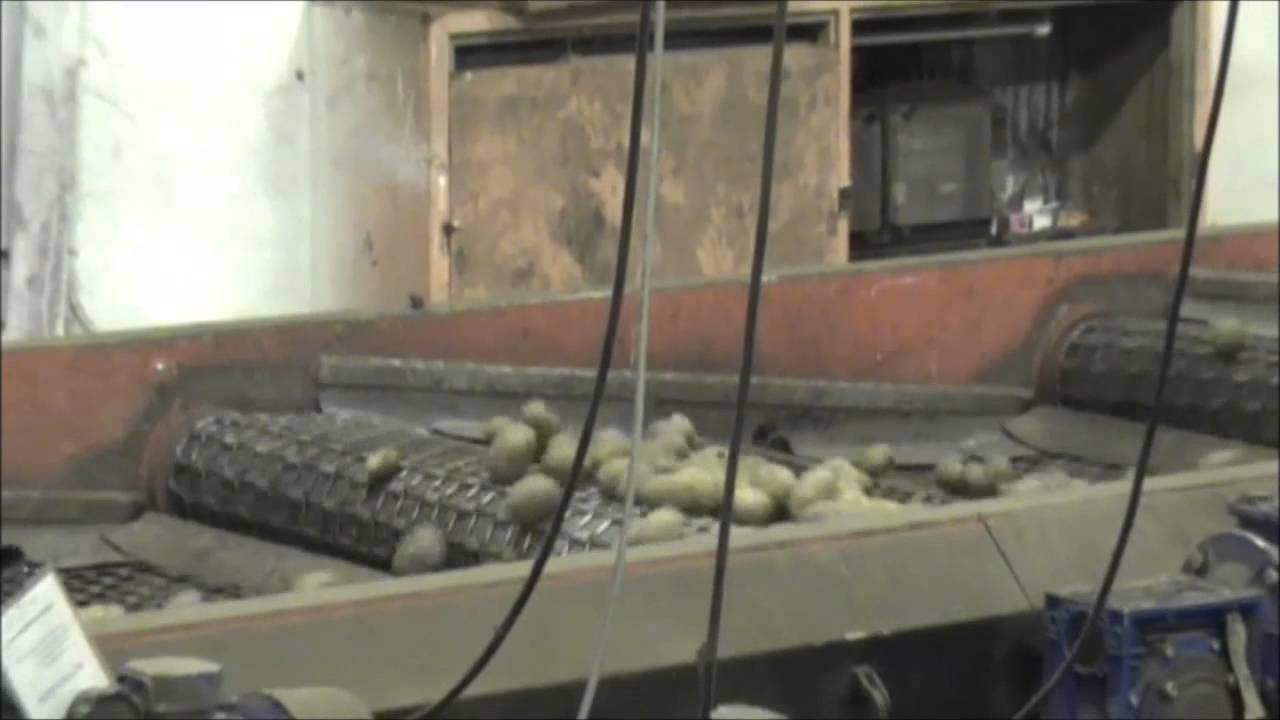 Screen grader