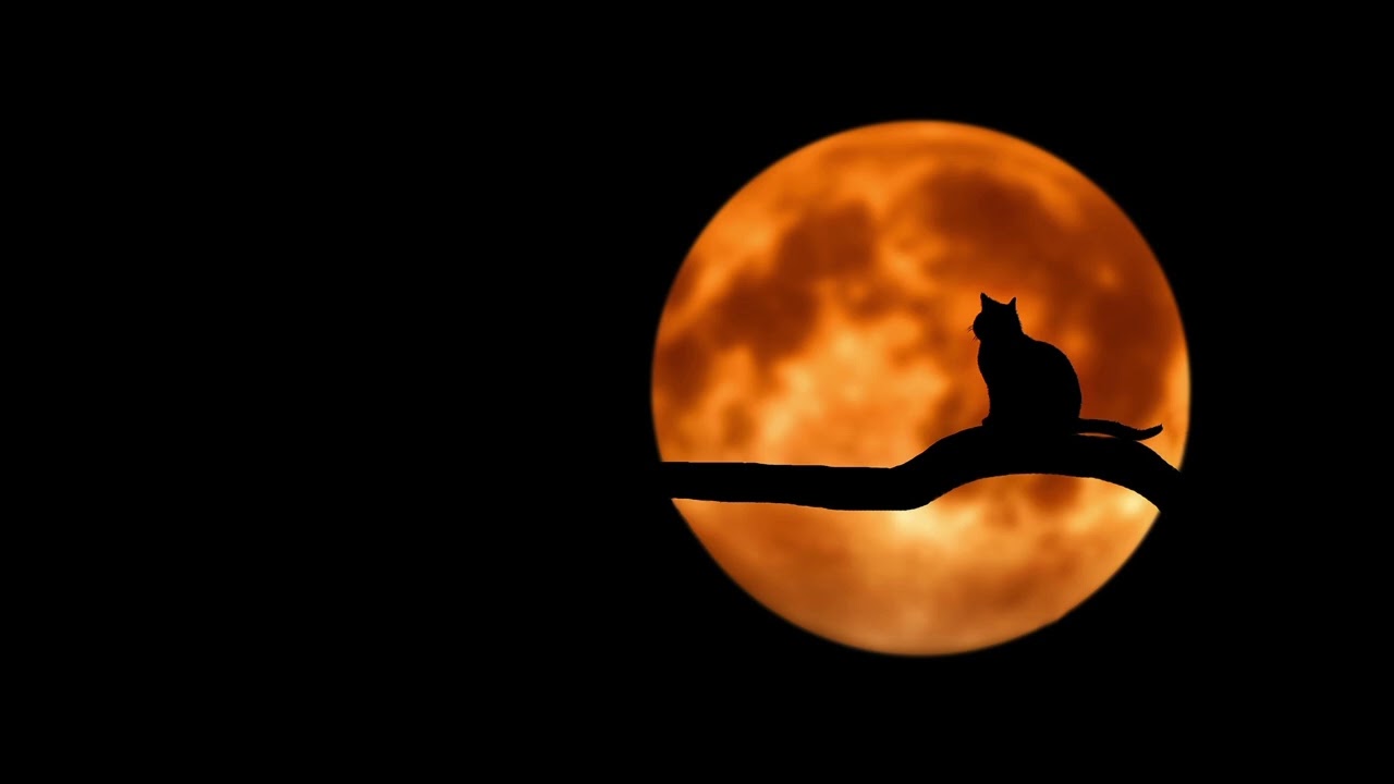 Jeff Sova - midnight moon
