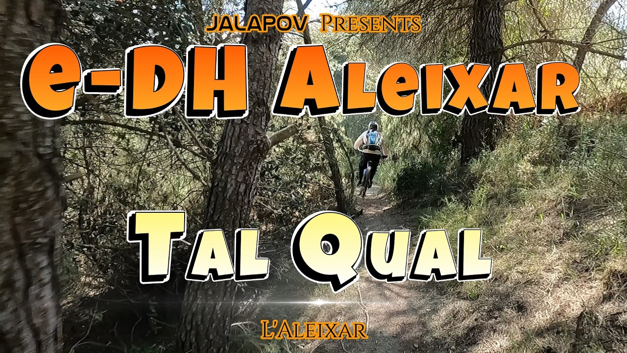 e-DH Aleixar | Tal Qual