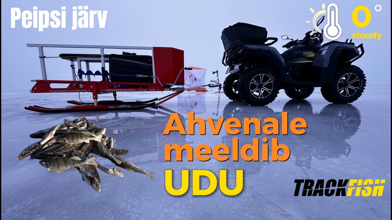 Ahvenale meeldib udu, Peipsi järvel talipüük (Peipus)
