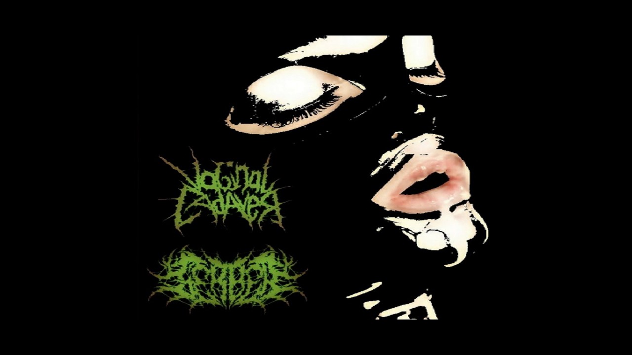 GerbeЯ & Vaginal Cadaver - Split (2017) (Goregrind / Porngrind)