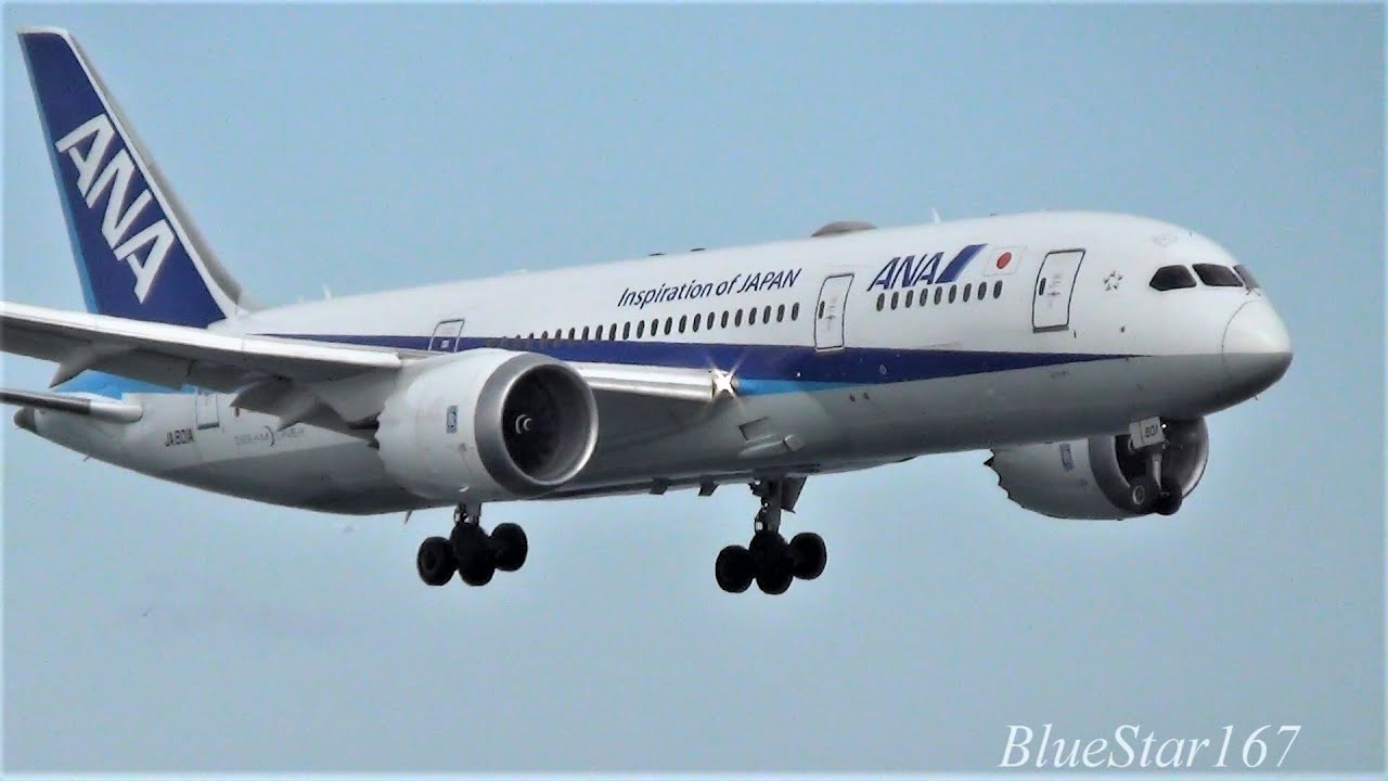 All Nippon Airways Boeing 787-8 (JA801A) landing at KIX/RJBB (Osaka - Kansai) RWY 24L