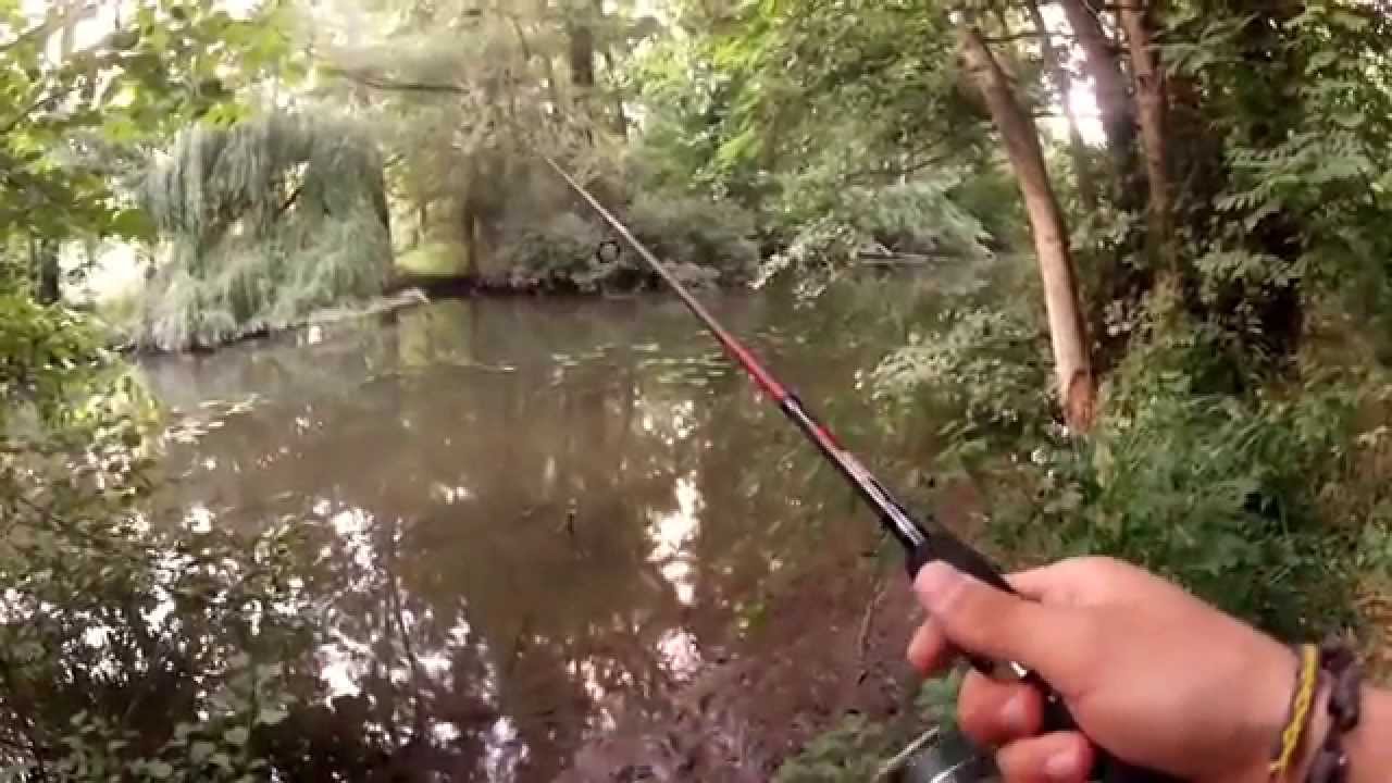 Pêche de la perche aux leurres en rivière: montage texan, cuiller, trucs et astuces...