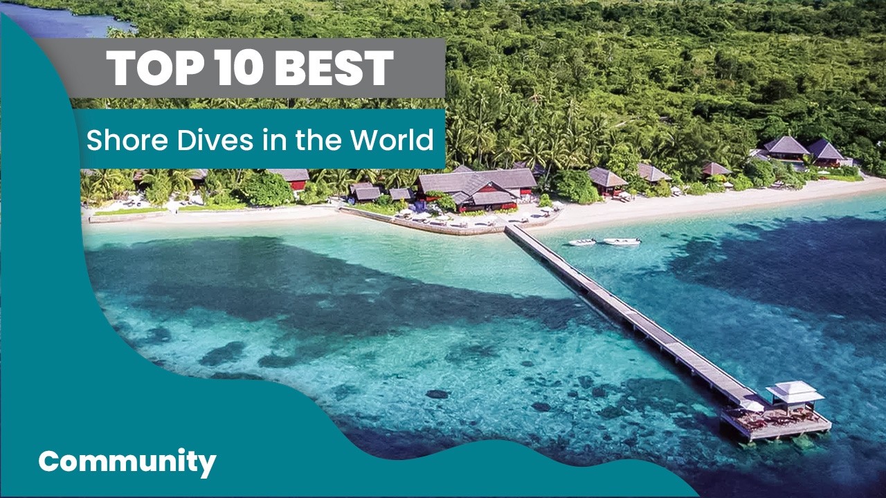 TOP 10 BEST Shore Dives around the world