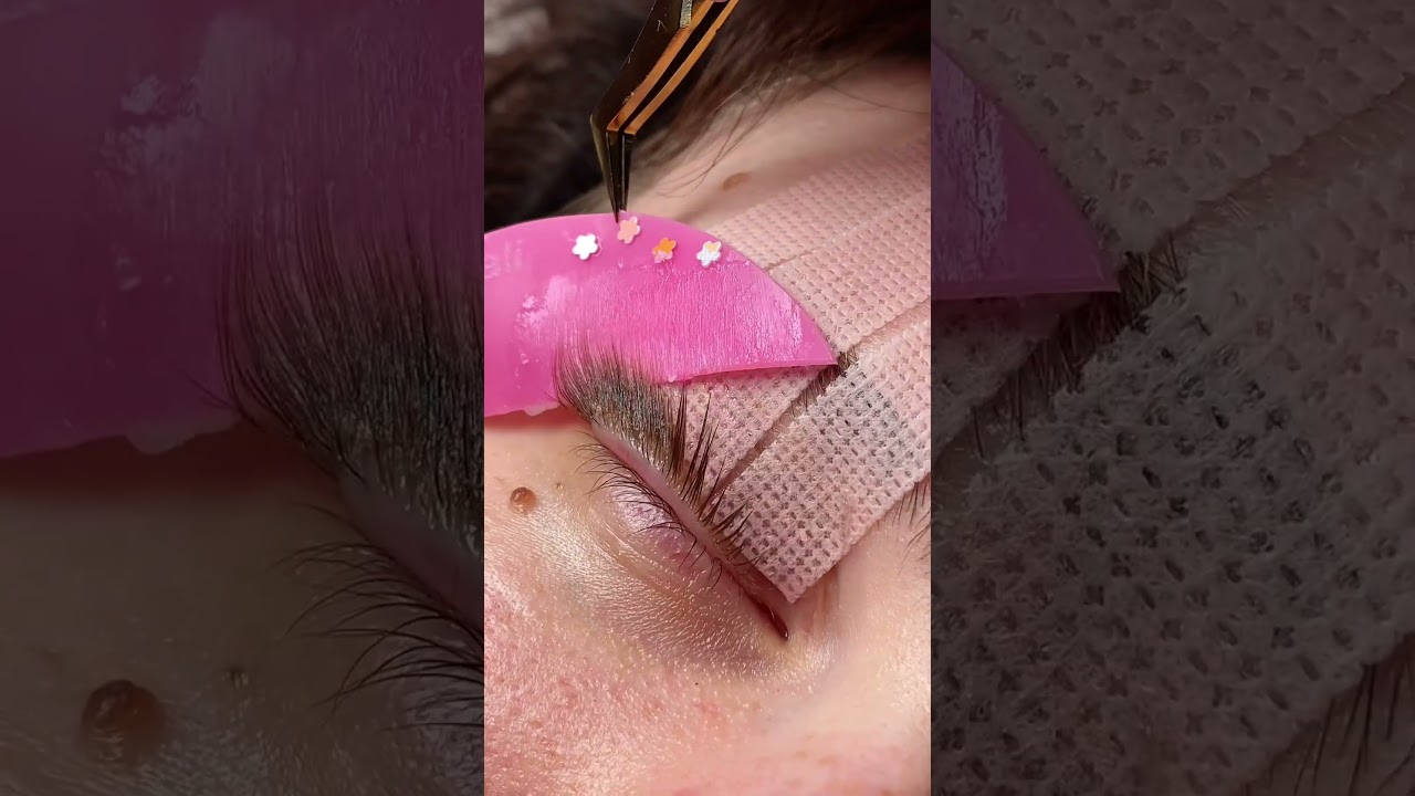 Next-Level Korean Lash Lift Shields Are HERE!