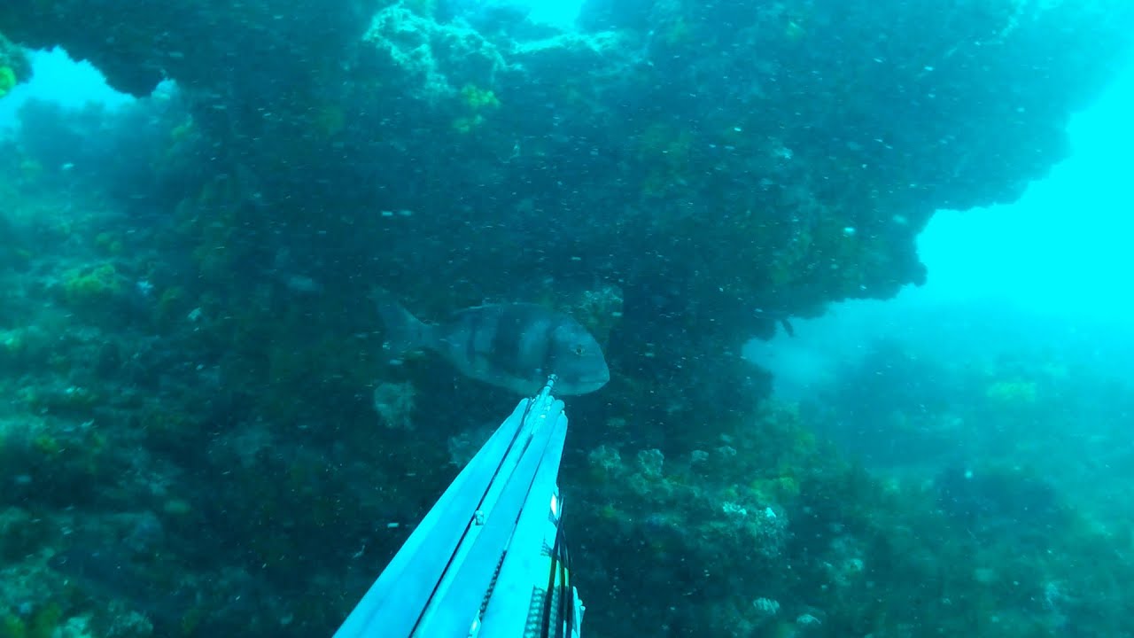 gran entrada de urta, borriqueton y sargo real de los Hermanos Ruiz Gonzálezdel team Hfsub