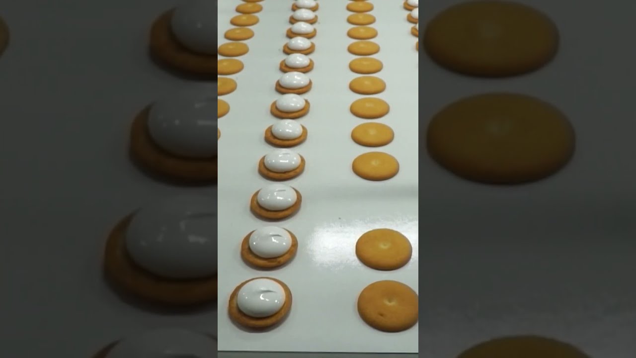 How to Make Two Biscuits with Marshmallow Filling and a Complete Chocolate Coating