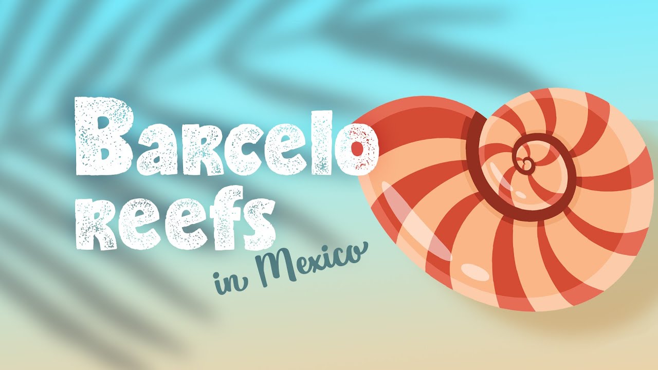 Reefs of Barcelo Maya Beach in Mexico