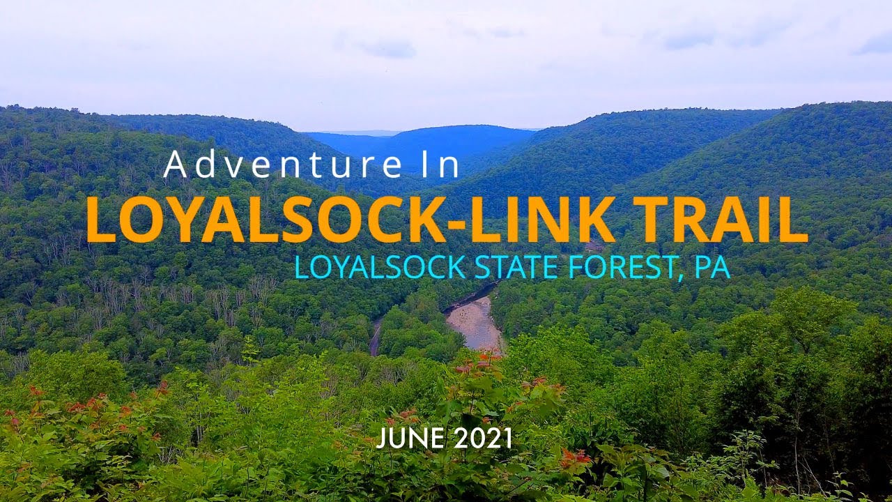 Loyalsock-Link Loop - Loyalsock State Forest - PA