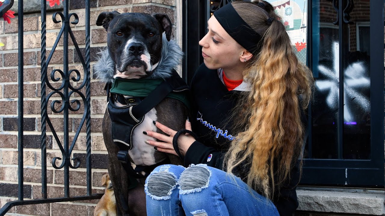 Pets for Life: Keeping pets and families together