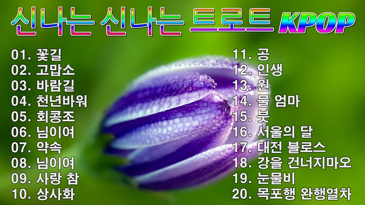[ NEW ] 신나는 신나는 트로트 KPOP (TROT) PLAYLIST 🗃️ ( 꽃길.상사화.여인의 눈물.회룡포.바람길...) #kpop