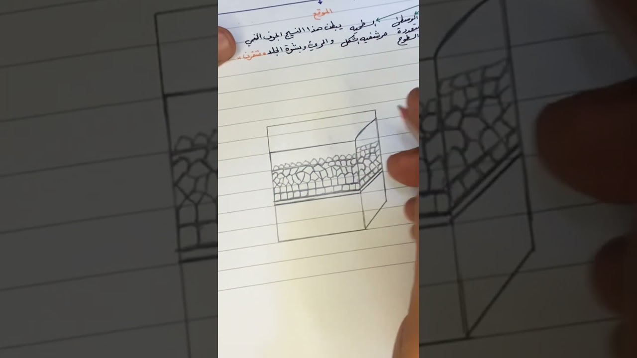 رسم النسيج الظهاري المطبق الحرشفي