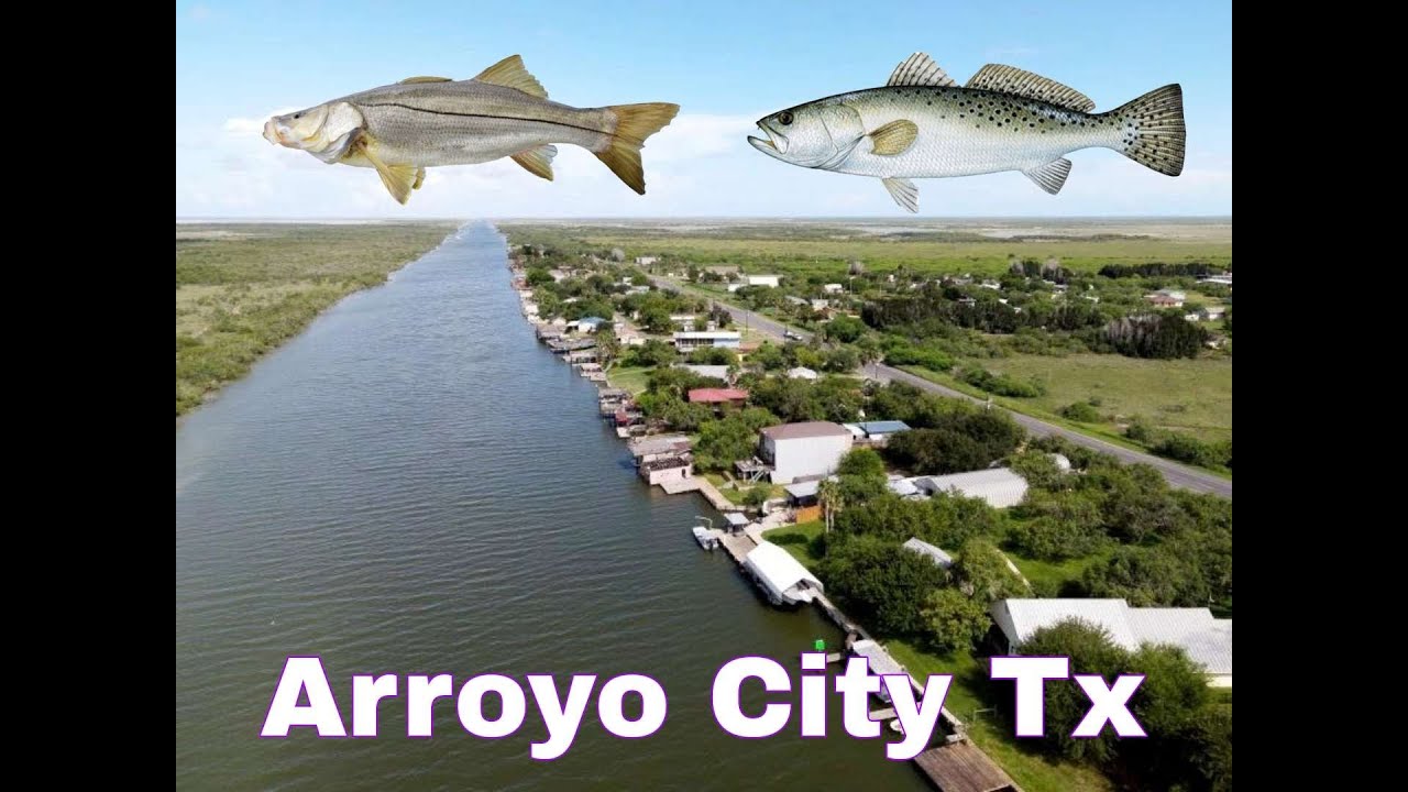 Arroyo City Tx The Snook came out to play!!